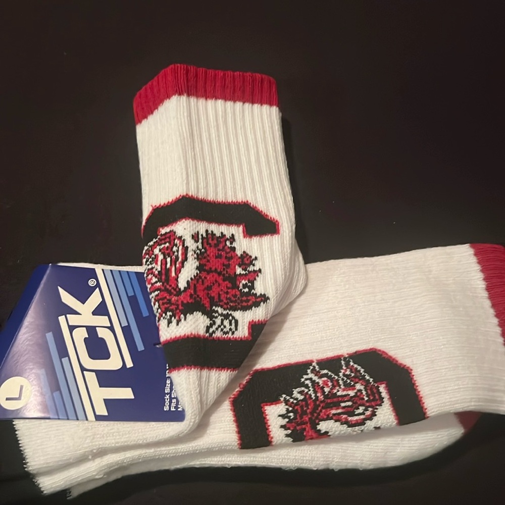 University of South Carolina gamecocks